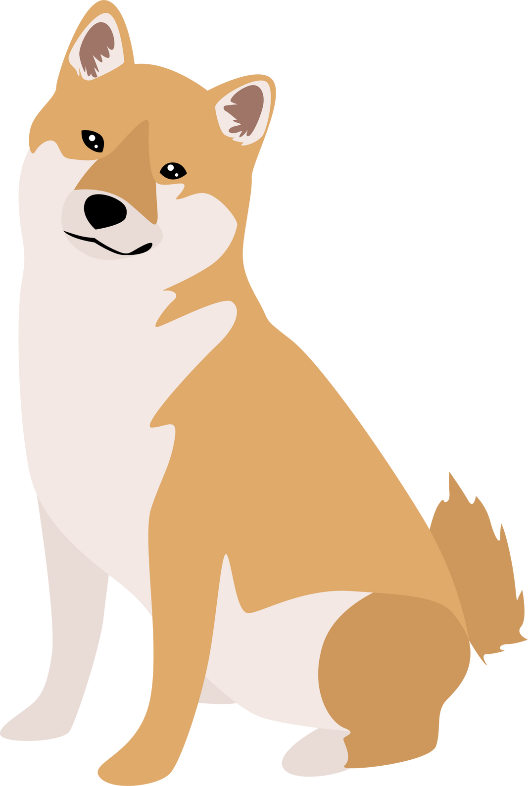 Shiba Inu Dog Vector Illustration