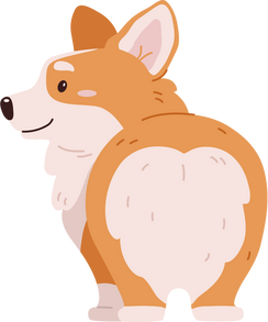 corgi dog back view